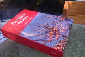 Pitkirtly omnibus attempt 1