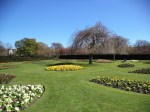 Saughton Park - gardens