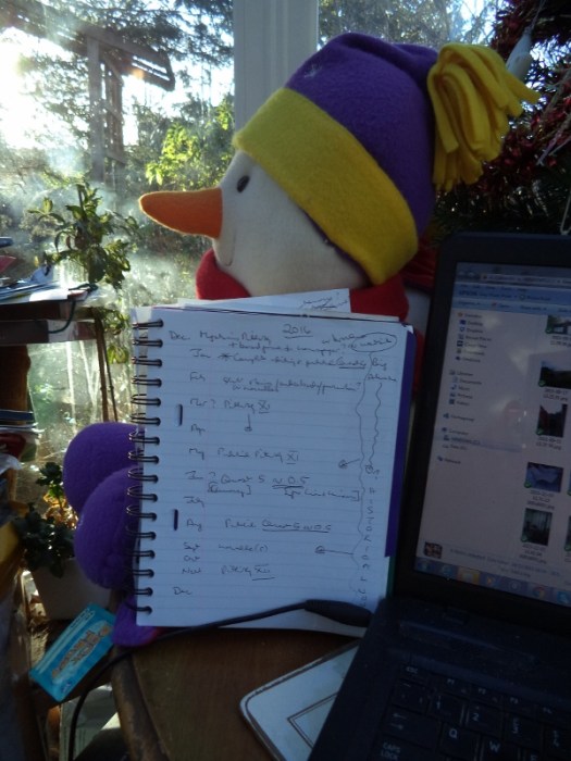 2015-12-29 12.39.41 (600x800)