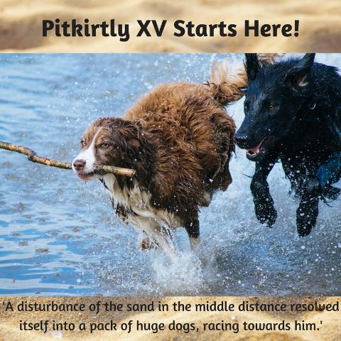 Pitkirtly XV Starts Here!